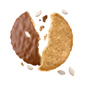 Oat biscuit coated in milk chocolate